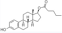 Legales Hormon-Steroide CASs 979-32-8 Estradiol des weiblichen Geschlechts Valerianats-Östradiol-Valerianat
